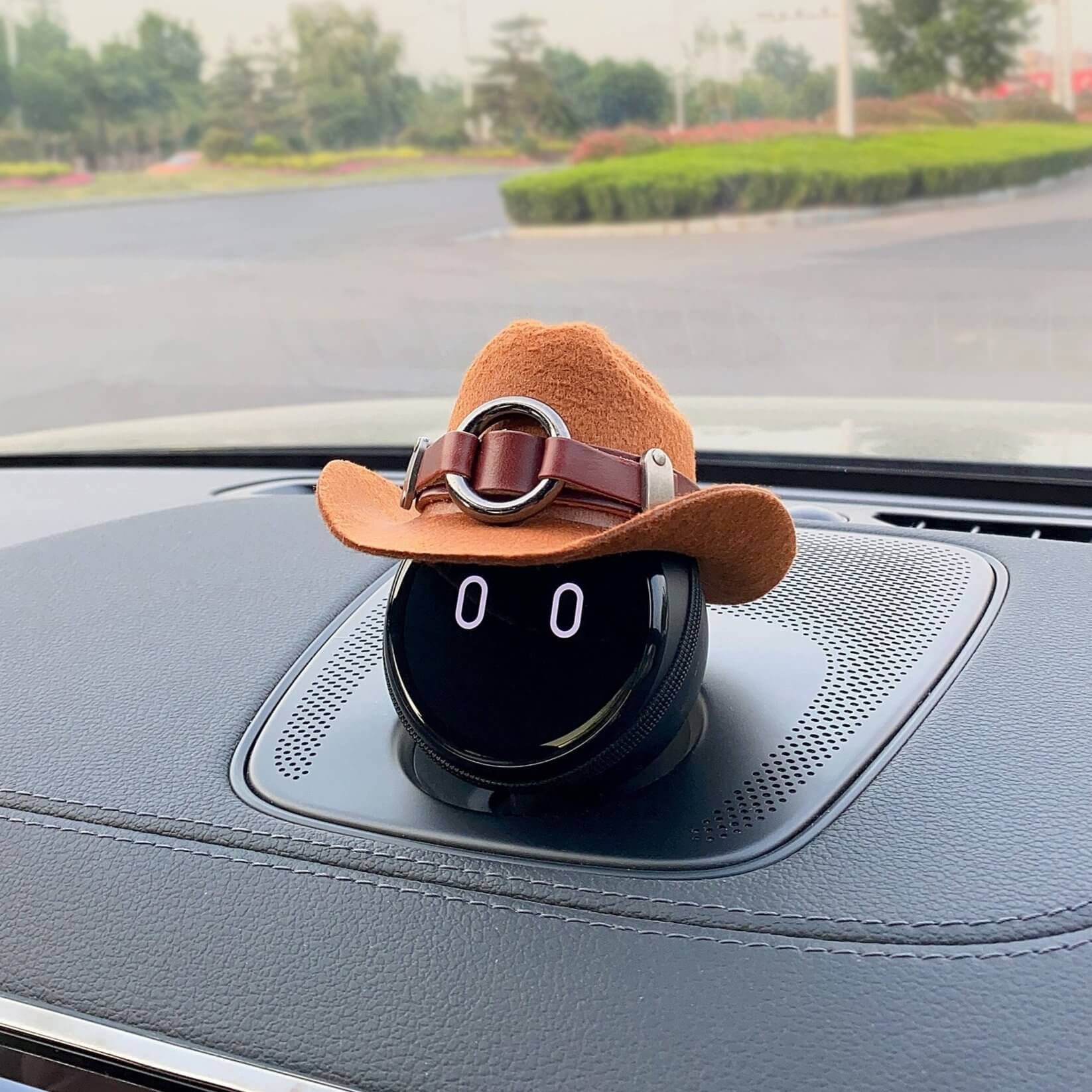 An iron ring adorns the cowboy hat, which is also tied with a brown leather strap.