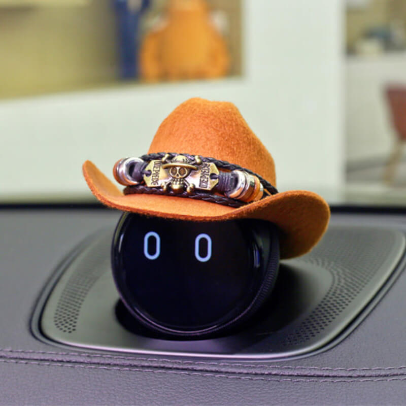 Cowboy hat decorated with a bronze skull badge.